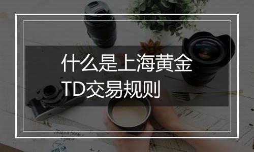 什么是上海黄金TD交易规则