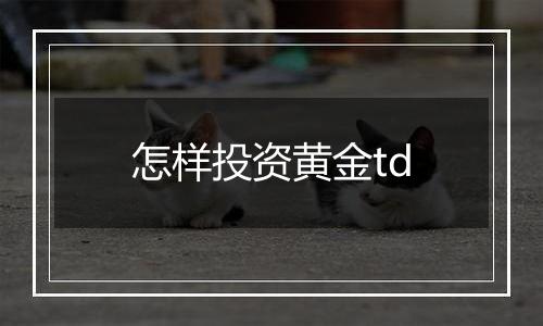 怎样投资黄金td