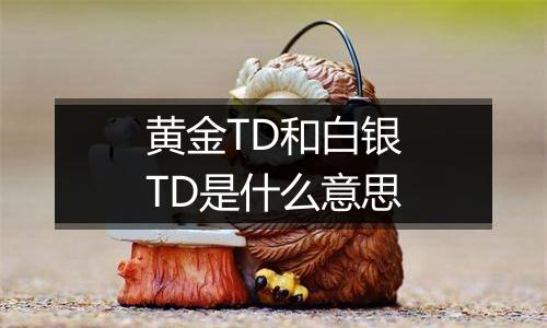 黄金TD和白银TD是什么意思