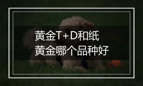 黄金T+D和纸黄金哪个品种好