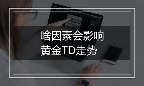 啥因素会影响黄金TD走势