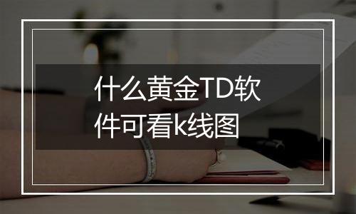 什么黄金TD软件可看k线图