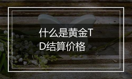 什么是黄金TD结算价格