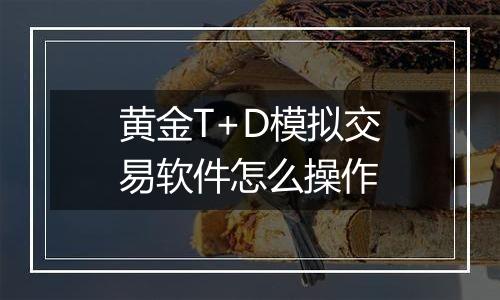 黄金T+D模拟交易软件怎么操作