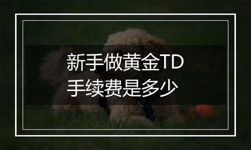 新手做黄金TD手续费是多少