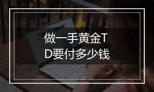 做一手黄金TD要付多少钱