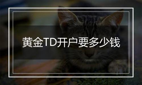 黄金TD开户要多少钱