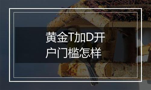 黄金T加D开户门槛怎样