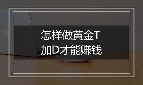 怎样做黄金T加D才能赚钱