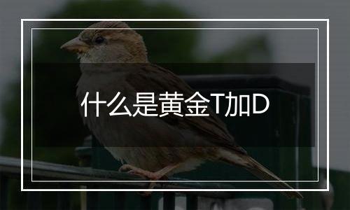 什么是黄金T加D