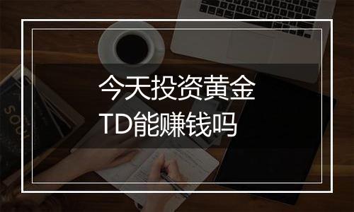 今天投资黄金TD能赚钱吗