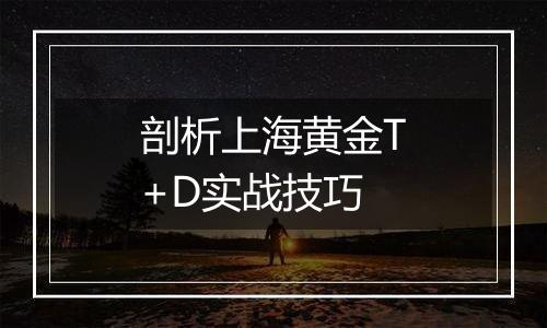 剖析上海黄金T+D实战技巧