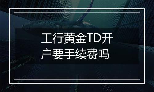 工行黄金TD开户要手续费吗