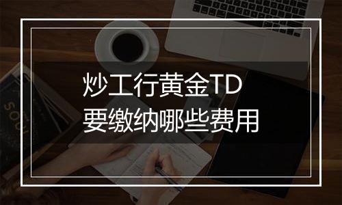 炒工行黄金TD要缴纳哪些费用