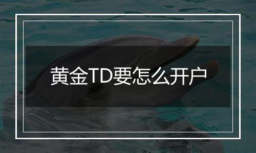 黄金TD要怎么开户