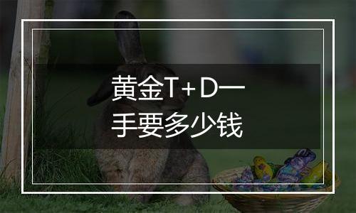 黄金T+D一手要多少钱