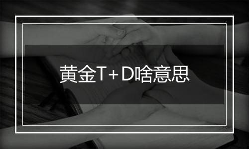 黄金T+D啥意思