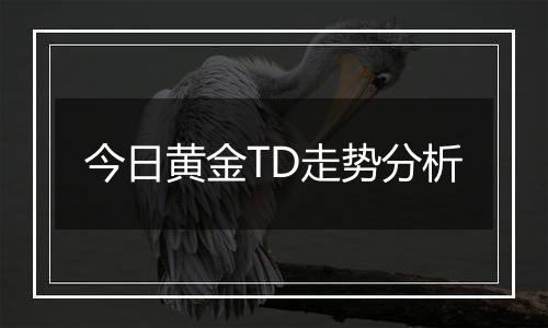 今日黄金TD走势分析