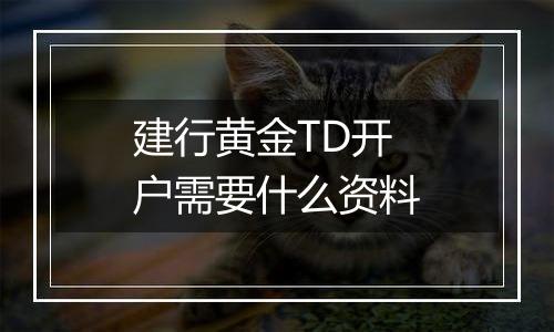 建行黄金TD开户需要什么资料