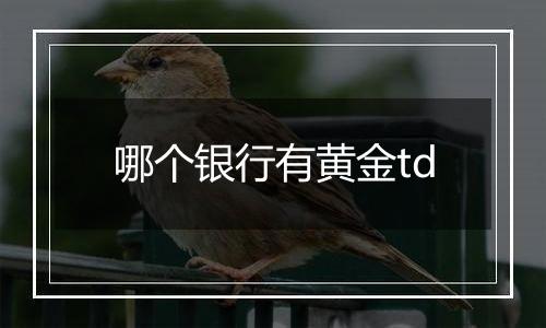 哪个银行有黄金td