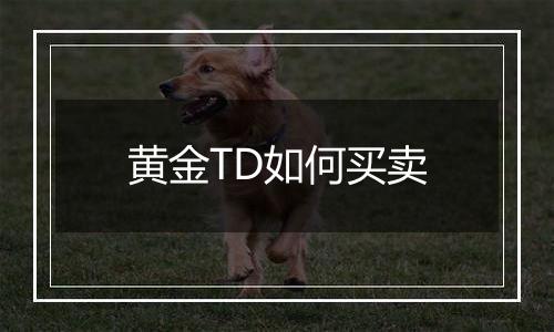 黄金TD如何买卖