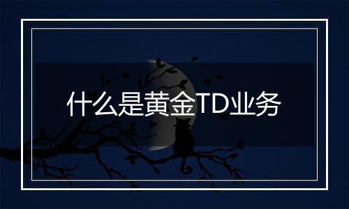 什么是黄金TD业务