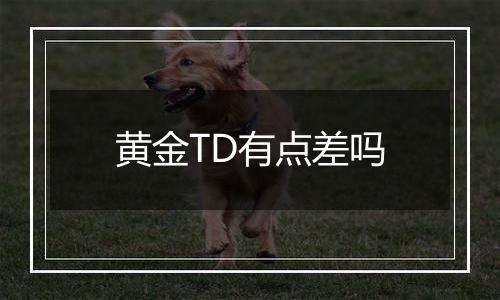 黄金TD有点差吗