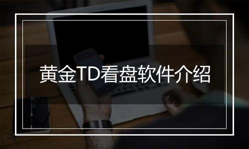 黄金TD看盘软件介绍