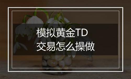 模拟黄金TD交易怎么操做