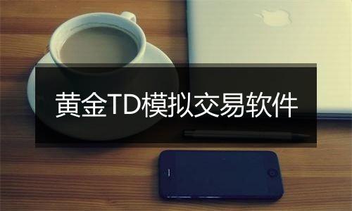 黄金TD模拟交易软件