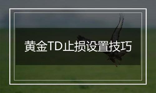 黄金TD止损设置技巧