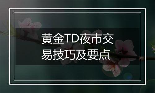 黄金TD夜市交易技巧及要点