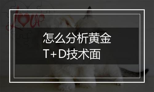 怎么分析黄金T+D技术面