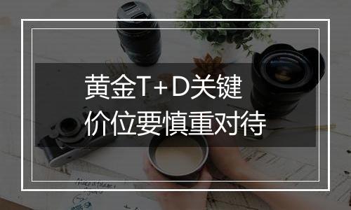 黄金T+D关键价位要慎重对待