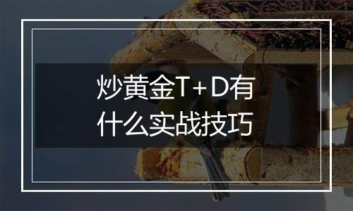 炒黄金T+D有什么实战技巧