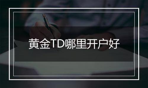 黄金TD哪里开户好