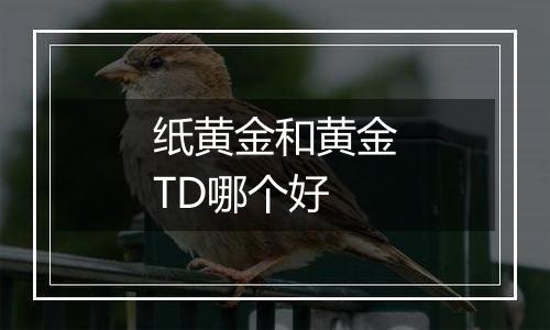 纸黄金和黄金TD哪个好