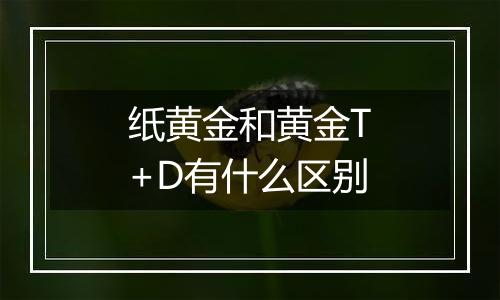 纸黄金和黄金T+D有什么区别