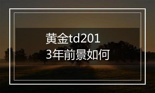 黄金td2013年前景如何