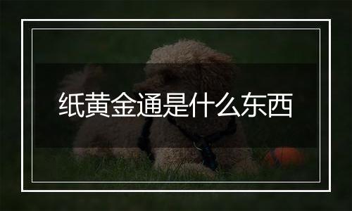 纸黄金通是什么东西