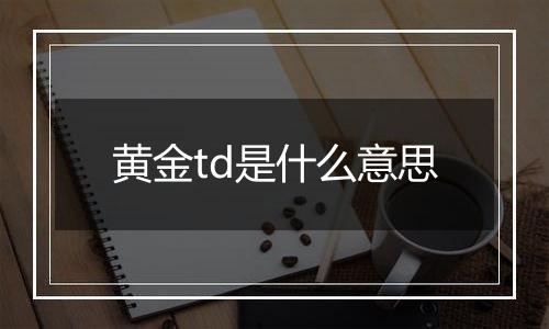 黄金td是什么意思