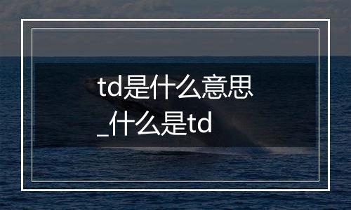 td是什么意思_什么是td