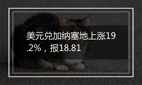 美元兑加纳塞地上涨19.2%，报18.81