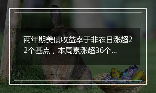 两年期美债收益率于非农日涨超22个基点，本周累涨超36个基点