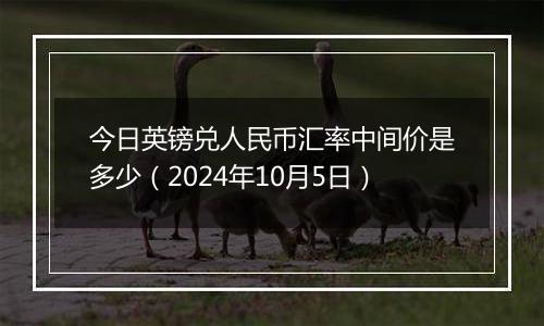 今日英镑兑人民币汇率中间价是多少（2024年10月5日）