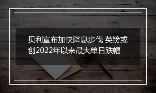 贝利宣布加快降息步伐 英镑或创2022年以来最大单日跌幅