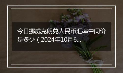 今日挪威克朗兑人民币汇率中间价是多少（2024年10月6日）