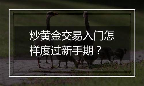 炒黄金交易入门怎样度过新手期？