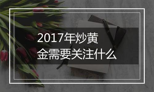 2017年炒黄金需要关注什么