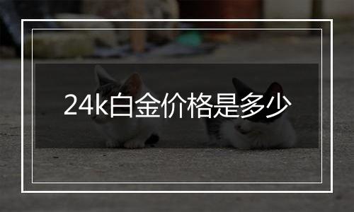 24k白金价格是多少